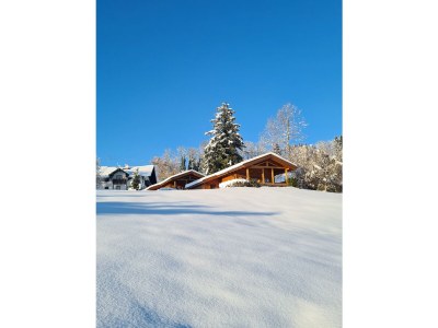 Chalet Hochries on the Lamplhof - Outdoor photo 11