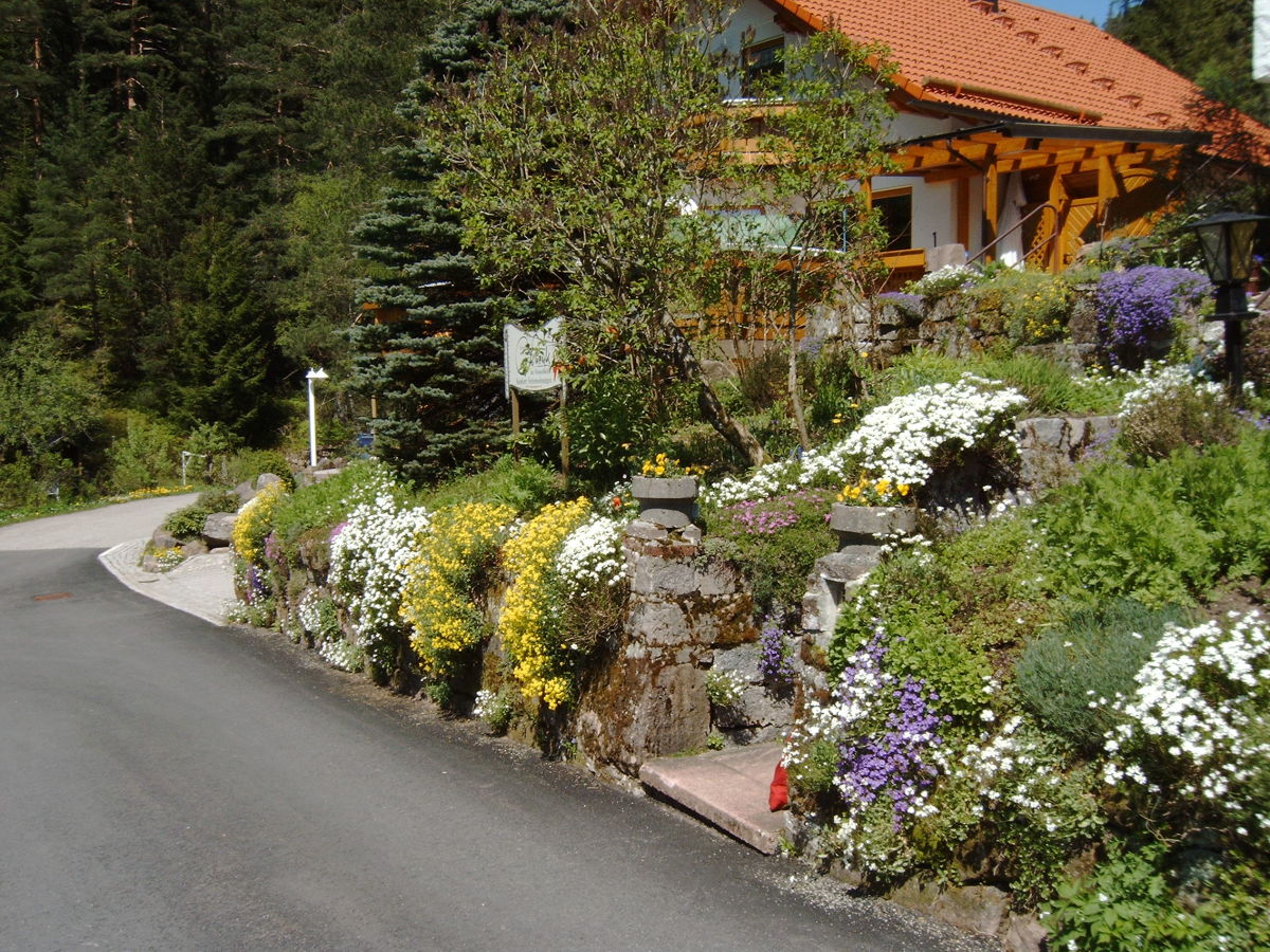 Holiday apartment Talblick - Outdoor photo 5