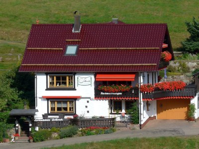 Holiday apartment Talblick - Outdoor photo 7