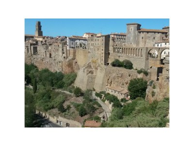 Holiday apartment House A poggio dell'Olivo - Environment photo 17