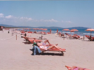 Holiday apartment House A poggio dell'Olivo - Environment photo 22