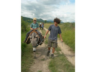 Holiday house Lorbeere. - Environment photo 23