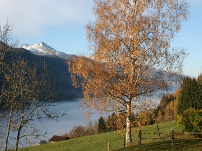Holiday apartment Schernthaner near Zell am See, Kaprun - Outdoor photo 11