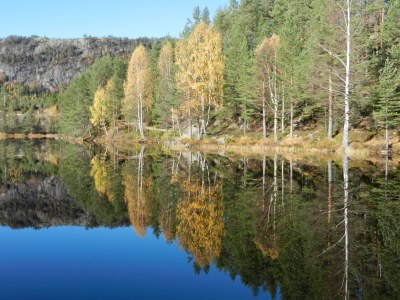 Holiday house Norgehytte - Environment photo 25