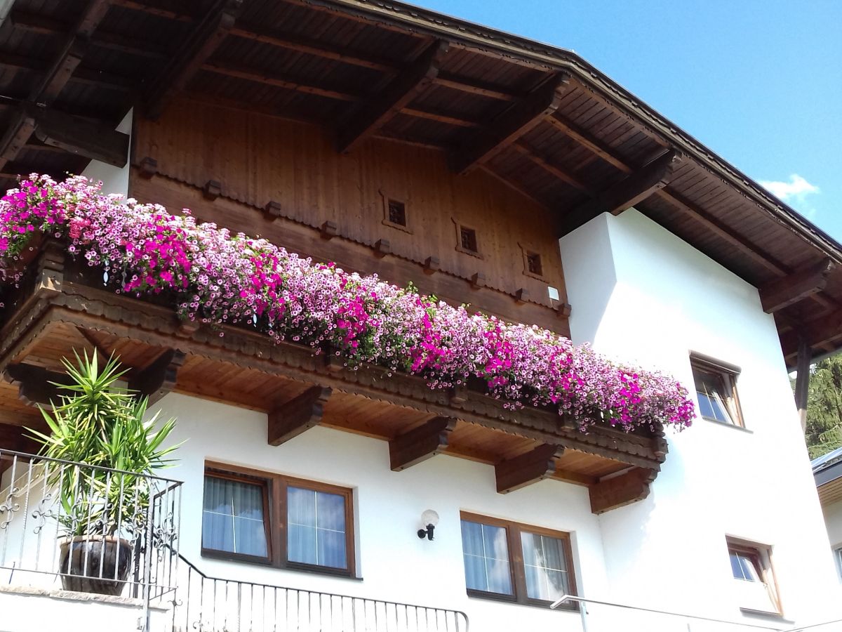 Holiday apartment Ferienwohnung Zuppinger - Outdoor photo 2