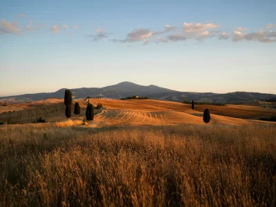 Villa Villa Montegemoli - Environment photo 24