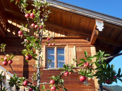 Holiday apartment Das Bergjuwel. - Outdoor photo 3