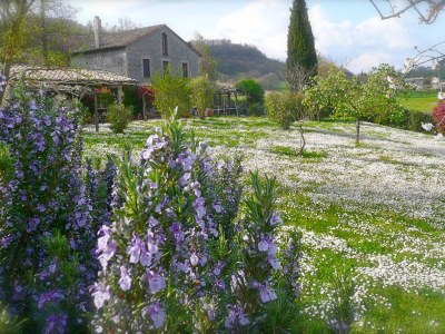 Holiday apartment Ripa d'Elce - Outdoor photo 8