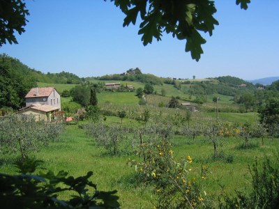 Holiday apartment Ripa d'Elce - Outdoor photo 9