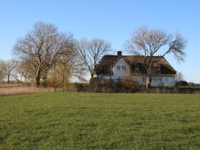 Holiday house Poppenbüll thatched house - Outdoor photo 3