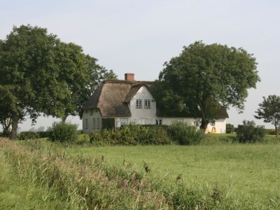 Holiday house Poppenbüll thatched house - Environment photo 35