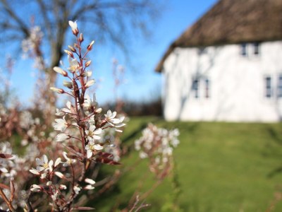 Holiday house Poppenbüll thatched house - Environment photo 38