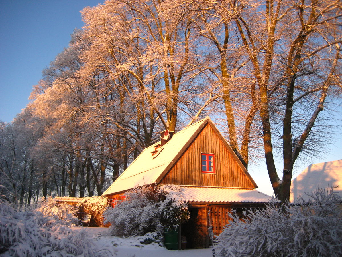 Holiday house Rohrdommel - Outdoor photo 2