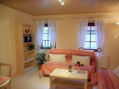 Holiday apartment Ferienappartement Friebel Bad Schandau - Features photo 2