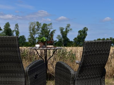 Holiday apartment “Zur Abendsonne” - Outdoor photo 2