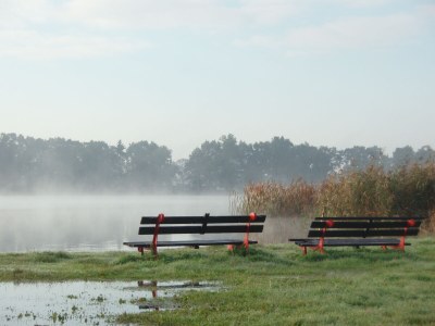 Holiday apartment “Zur Abendsonne” - Environment photo 40