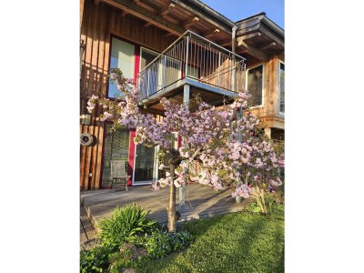 Chalet Steinernes Meer - Outdoor photo 10