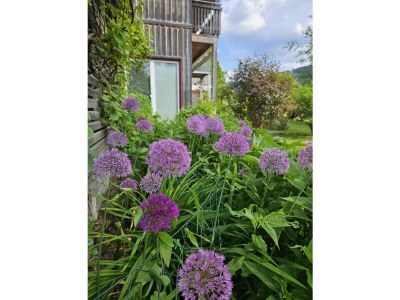 Chalet Steinernes Meer - Outdoor photo 11