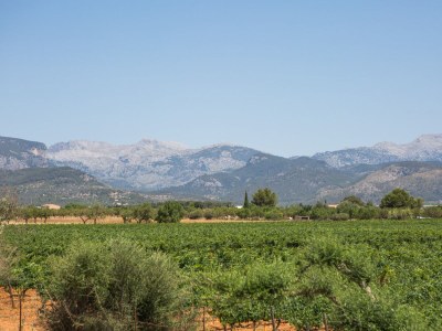 Villa Ca'n Canastro - Environment photo 33