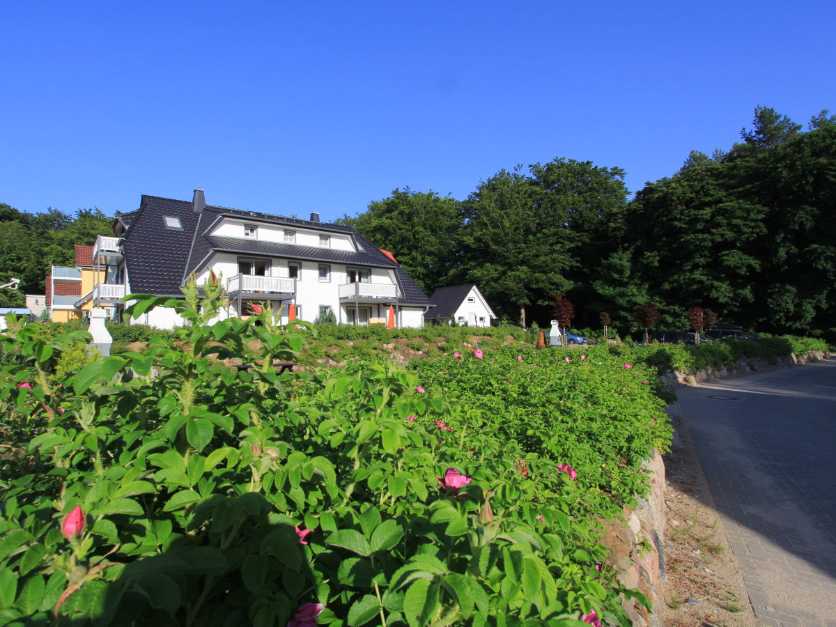 Holiday apartment Nr. 7 im Küstenwaldhaus - Outdoor photo 2