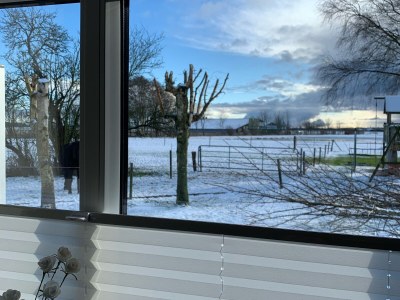 Holiday apartment No. 2 on the Doose Hof - Features photo 18