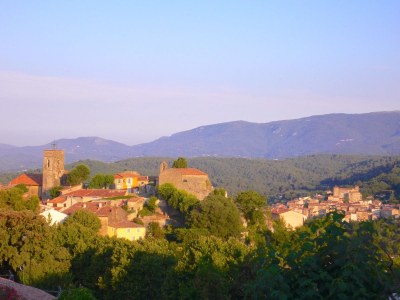 Holiday house La Marjuliere - Environment photo 17