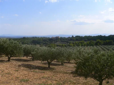 Holiday house La Marjuliere - Environment photo 20