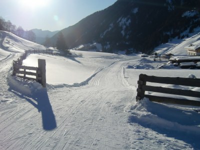 Holiday apartment Almenblick - Environment photo 19