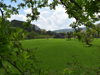 Holiday apartment holiday home Güse - Environment photo 19