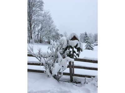 Holiday apartment Fankhauser - Outdoor photo 10