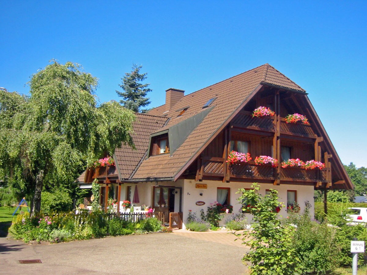 Holiday apartment In the parc