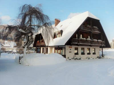 Holiday apartment In the parc - Outdoor photo 2