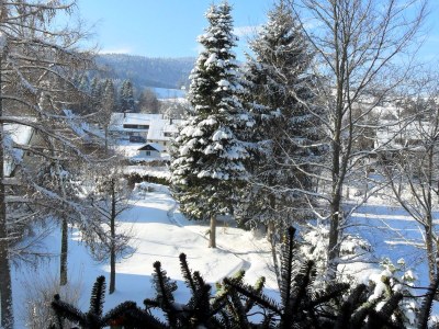 Holiday apartment In the parc - Outdoor photo 12