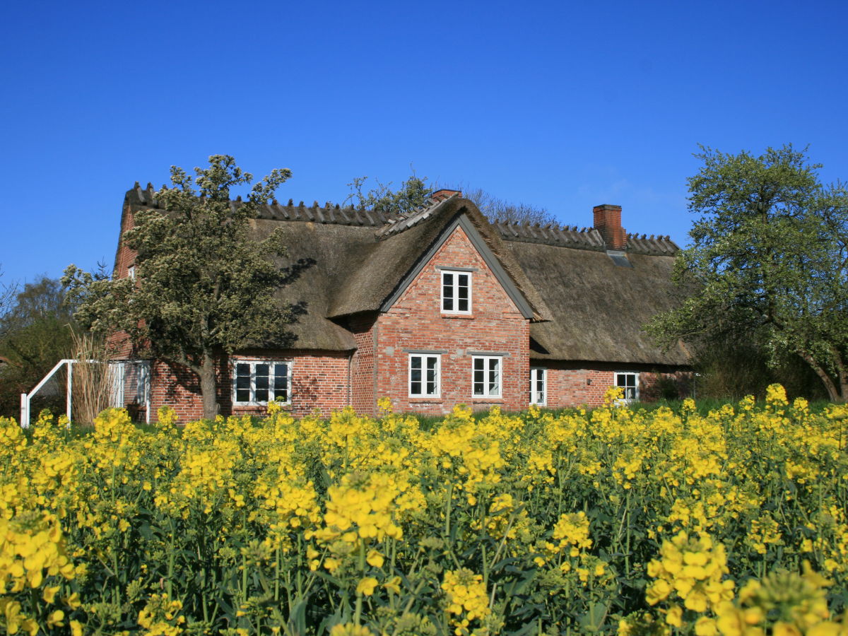 Holiday house Old Schusterhus - Outdoor photo 2