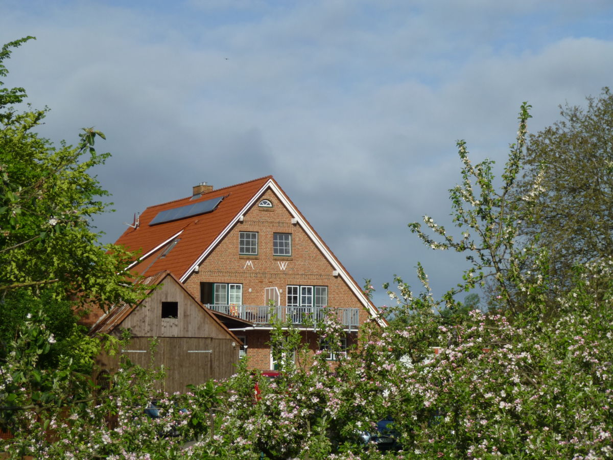 Holiday apartment Obsthof View 2 - Outdoor photo 2