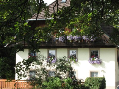 Holiday apartment "Bärental" in Hinterzarten - Holiday apartment