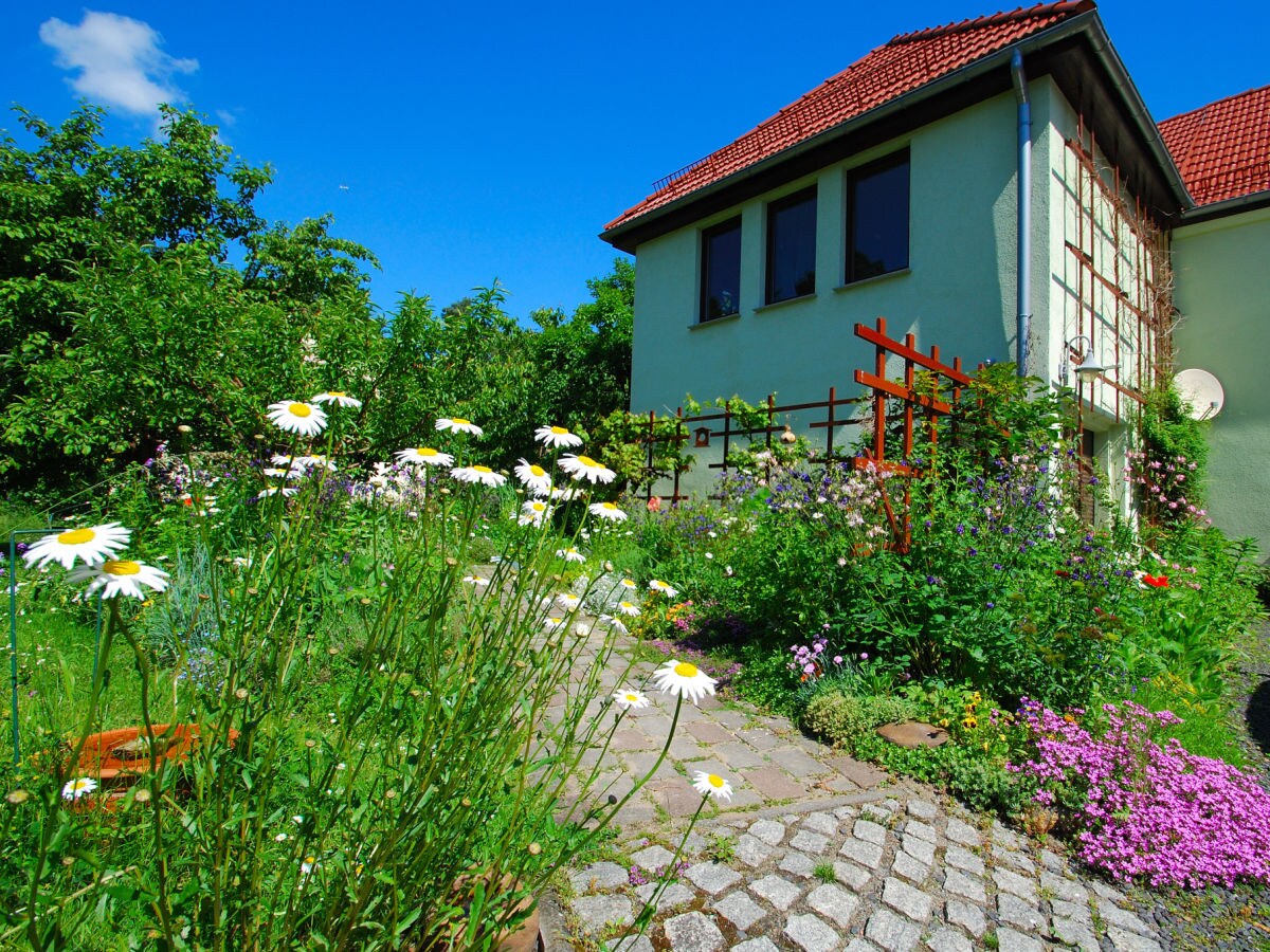 Holiday apartment Nimtz - Outdoor photo 2