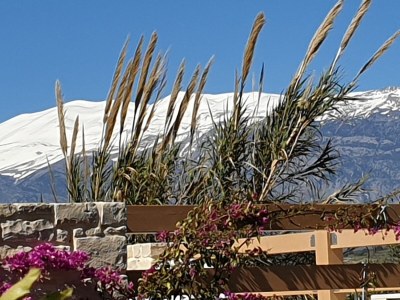Holiday house Vouno - Outdoor photo 21