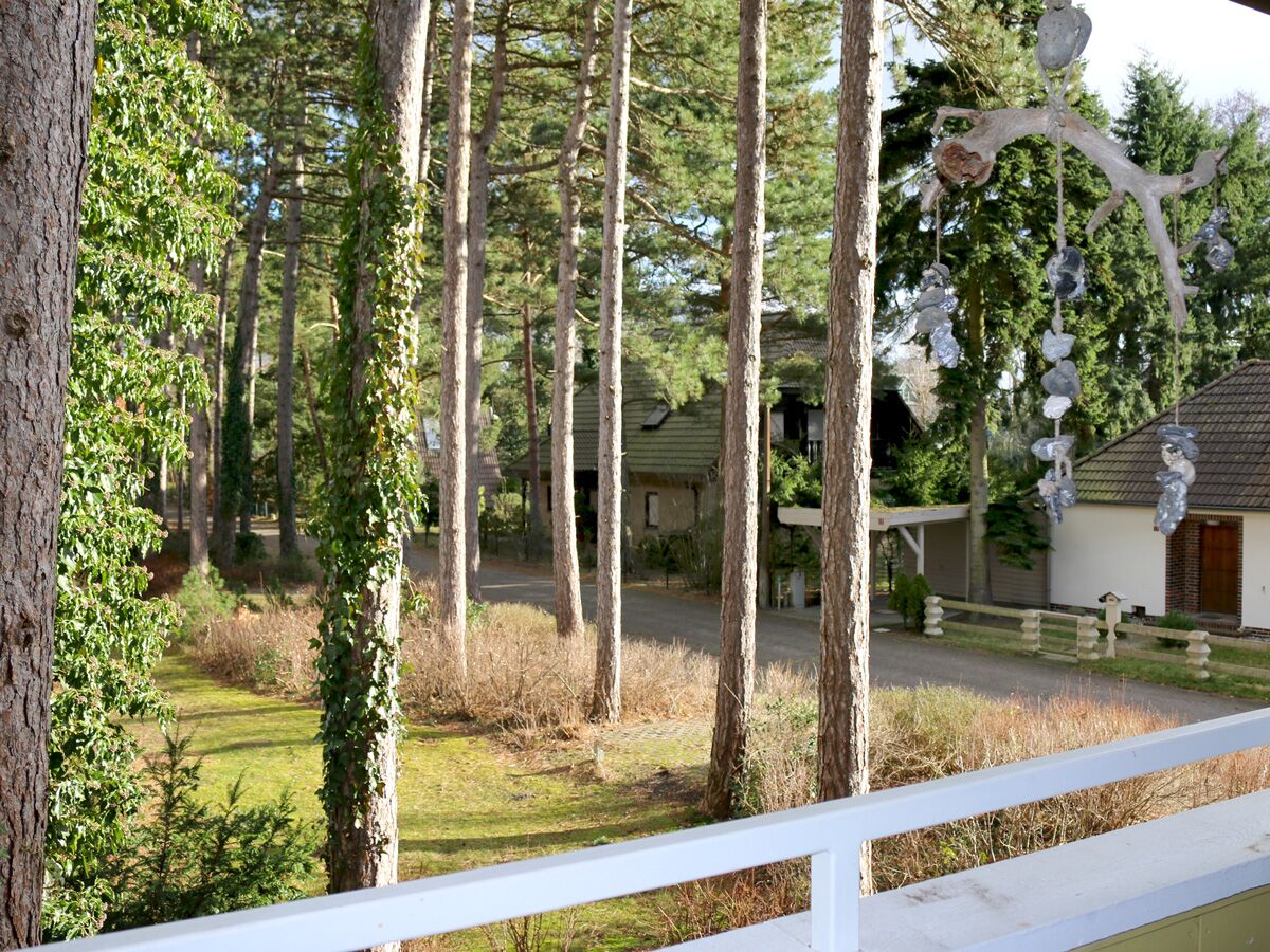 Holiday apartment W9.5 Waldsiedlung - Outdoor photo 5
