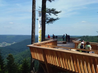 Holiday apartment House Margot Armbruster in the Black Forest - Environment photo 13