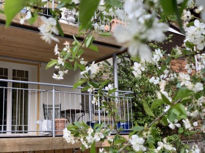 Holiday apartment Wolkensuite - Outdoor photo 9
