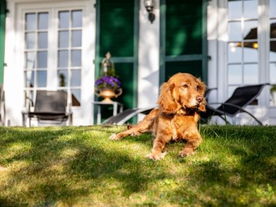 Holiday house "Zum Alten Forsthaus" - Outdoor photo 19