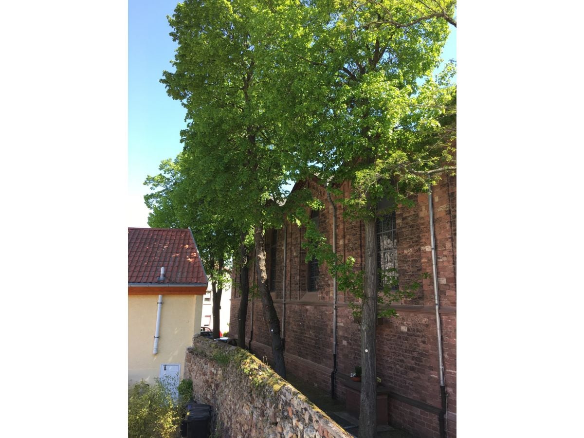Holiday house Zur Mainpforte