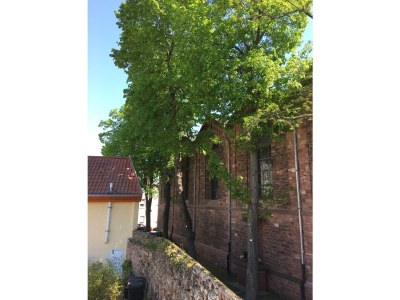Holiday house Zur Mainpforte in Mainz-Kostheim - Holiday house