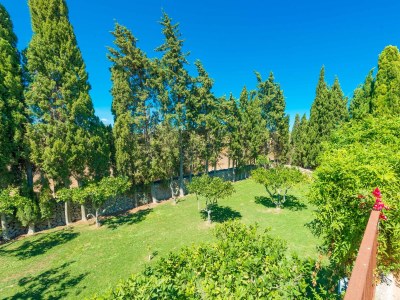 Finca Sa Vinya Des Compte - Outdoor photo 31
