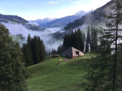 Chalet Chalet am Brüggli 1 - Environment photo 20