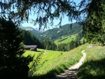 Chalet Chalet am Brüggli 1 - Environment photo 21