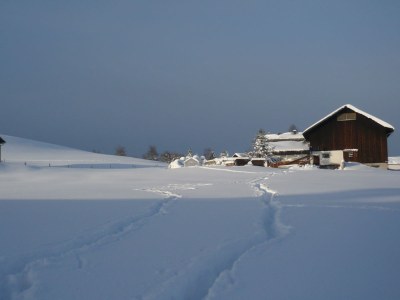 Holiday apartment Hehlehof - Outdoor photo 2