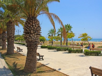 Holiday apartment Villa le Mimose - Stella Marina - Environment photo 18
