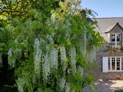 Holiday house L´Hortensia Cap Frèhel - Outdoor photo 13